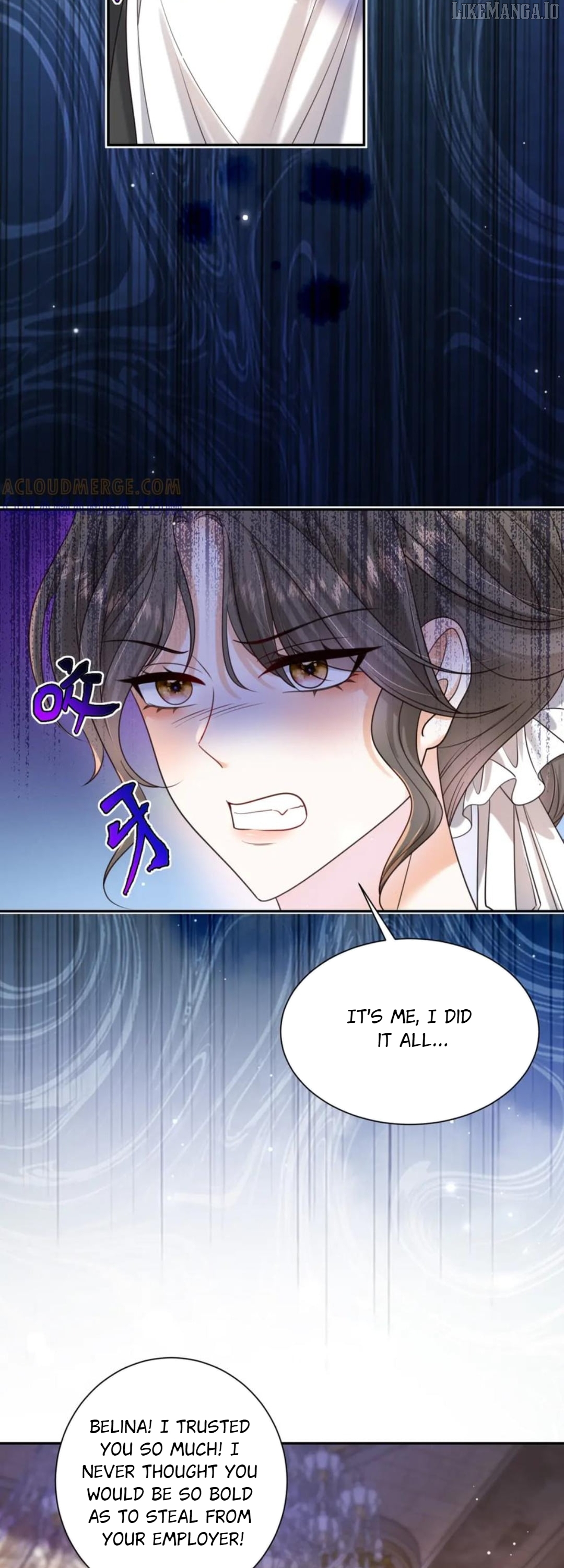 The Duchess Goes Crazy Once A Day Chapter 60 - page 11
